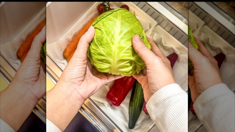 Hands placing cabbage into crisper drawer in fridge