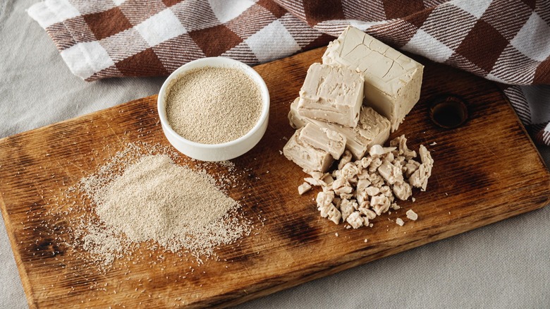Yeast, in blocks and dry powder form, on a wooden board.