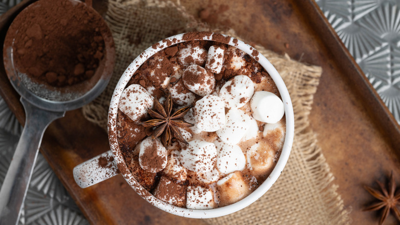 A white mug of hot chocolate with toppings