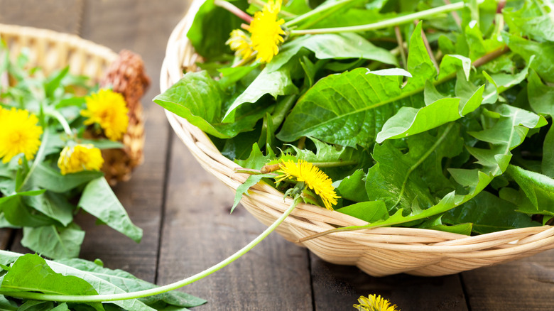 A woven wicker bowl with leafy greens and dandelions