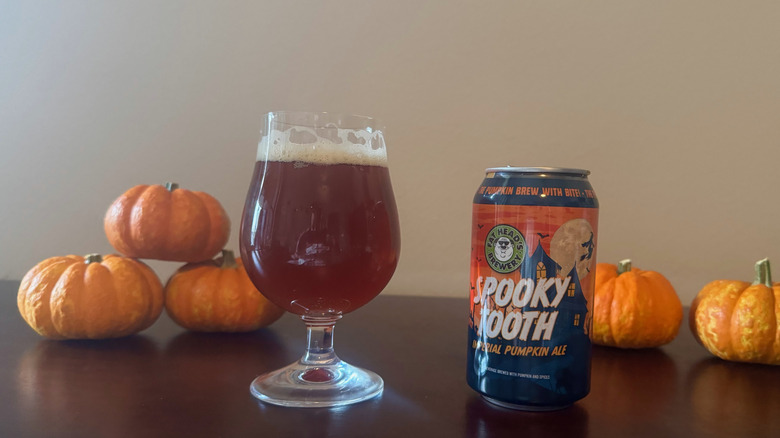 A full glass of beer next to a can of Spooky tooth pumpkin ale and five small pumpkins.