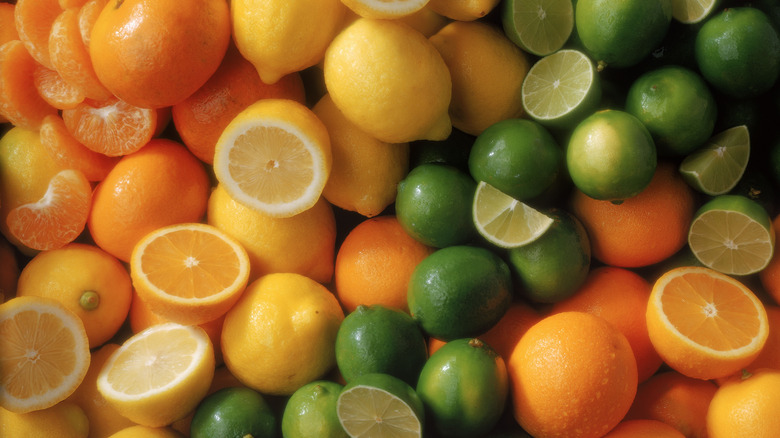Various citrus fruit