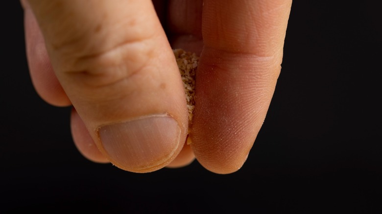 Dried crushed garlic spices in a hand ready to be sprinkled