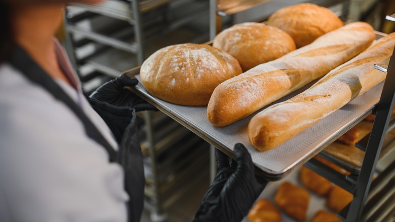 Baker wearing black gloves holding metal tray with baked loaves of bread and baguettes