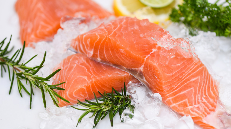 Raw salmon fillets on ice