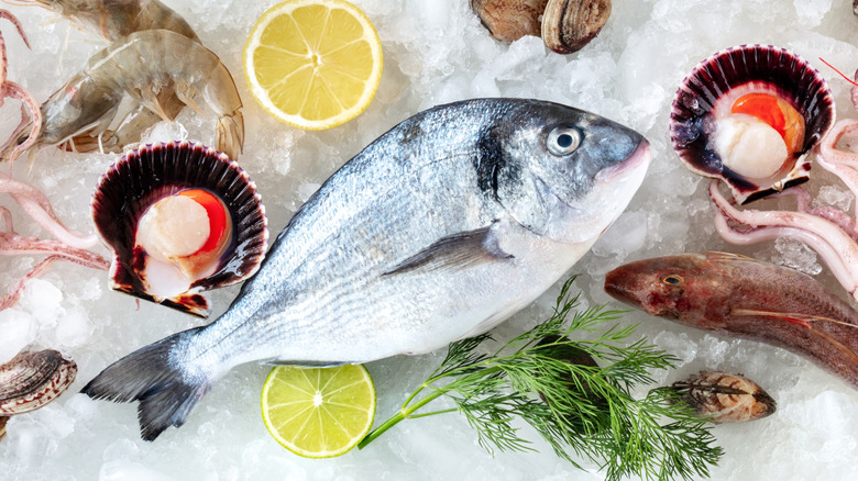 Assorted seafood on ice