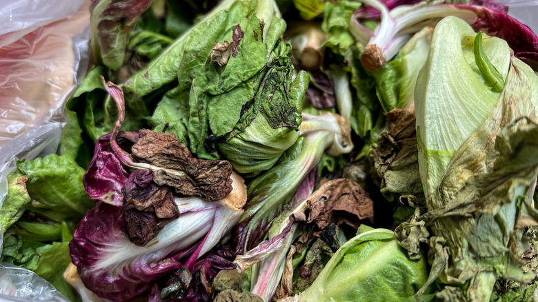 A pile of wilting greens