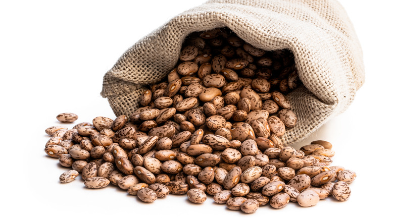 Pinto beans scattered from sackcloth bag isolated on white