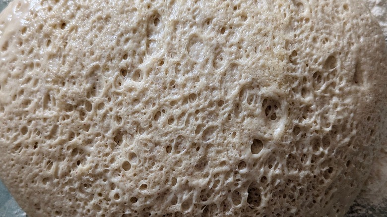 Abstract sourdough starter texture. Macro background of a bubbly, fermented, wet bread dough.