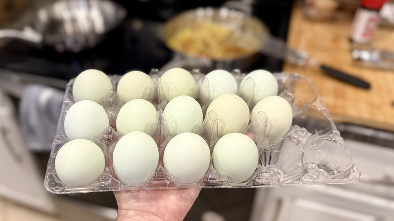 Heirloom Fresh Large Free Range Grade A Eggs