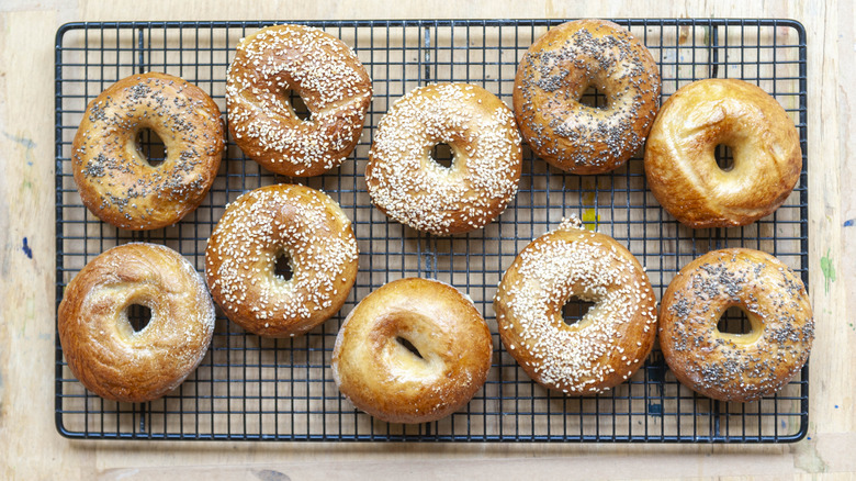 A variety of bagels sits on a metal grate