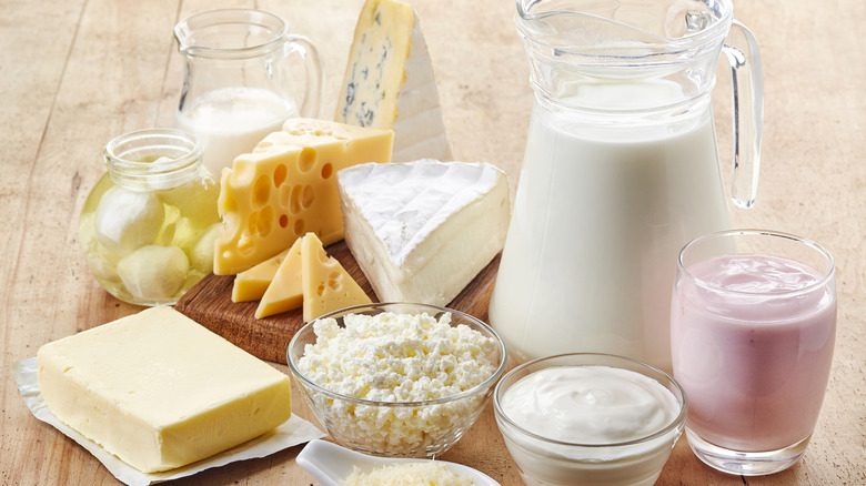 A collection of dairy products on wooden surface, including bowls of yogurt, butter, a cheese board, and a jug of milk