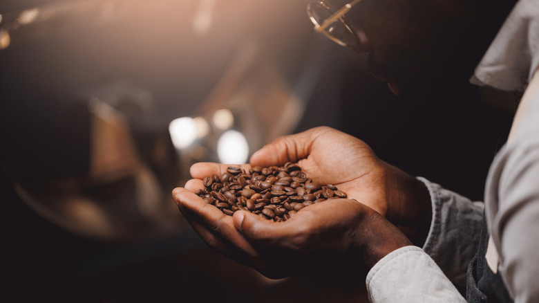 Man looking at beans cupped in palms