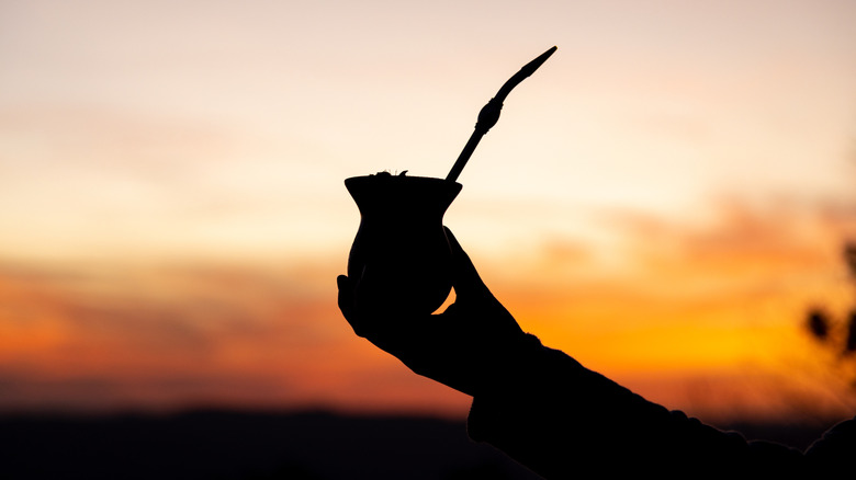 The silhouette of a hand holding yerba mate gourd with a bombilla inside, the sunset in the background.