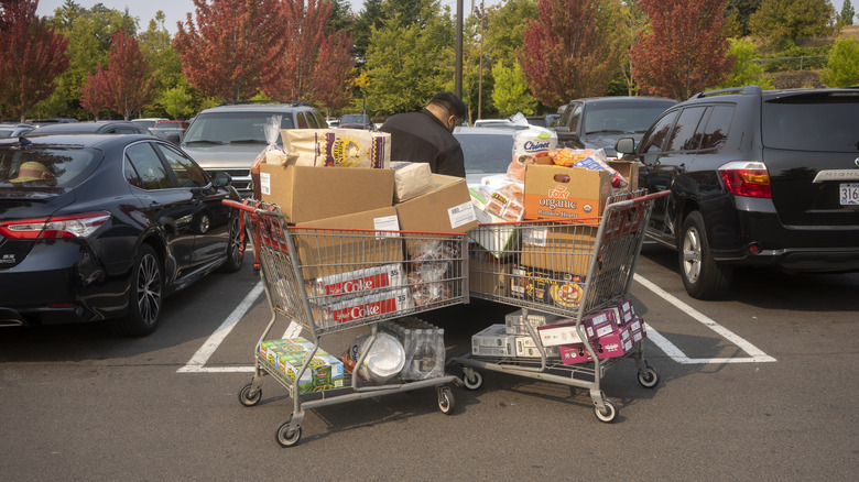 Loaded shopping carts in a parking lot with a man behind them opening his car