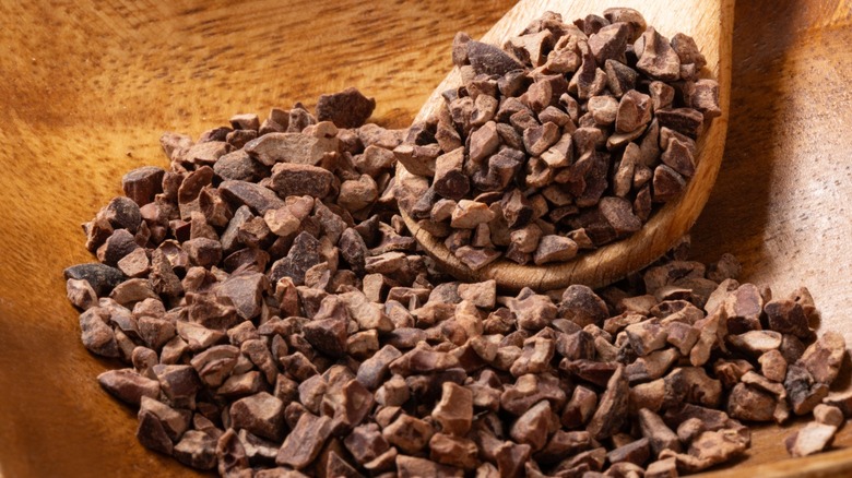Peruvian Cacao Nibs Made from Fine Cacao Beans in a bowl with a spoon