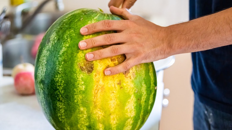 Closeup of someone cutting a watermelon with a knife with the field spot visible