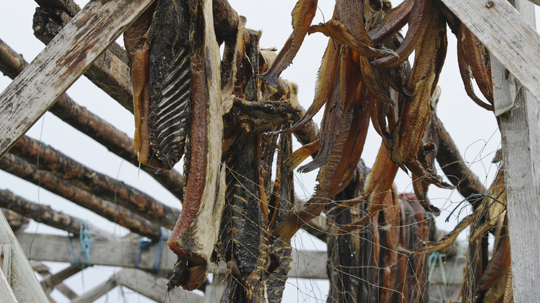 Seal skins and fish hang from wooden rafters in the chilled arctic air.