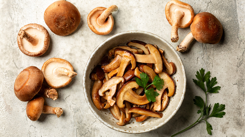 A bowl of cooked mushrooms surrounded by raw mushrooms