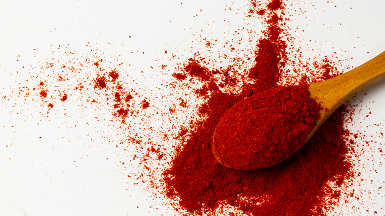 spoonful of red paprika powder