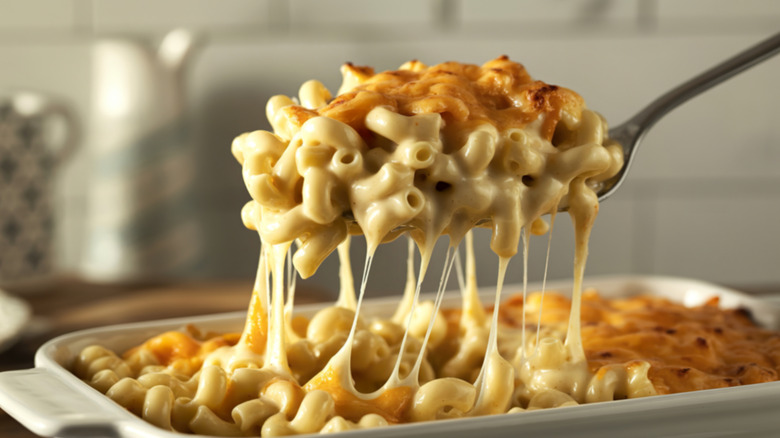 A cheesy spoonful of mac and cheese