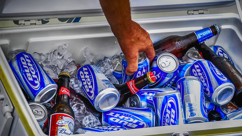 Cooler full of Bud Light beer