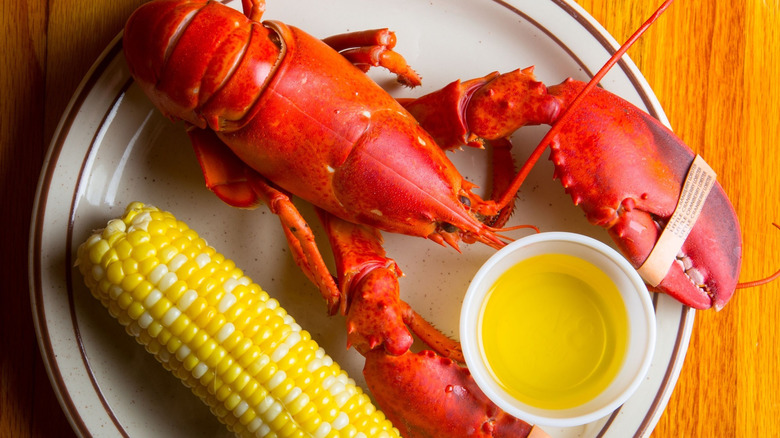 Lobster from The Nordic on a plate with corn and butter