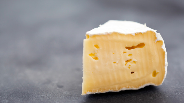 Piece of brie cheese