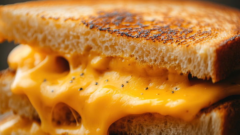 Grilled cheese sandwich with melted cheddar