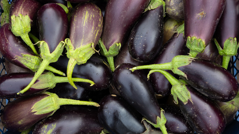 Harvest of organic eggplants in a crate