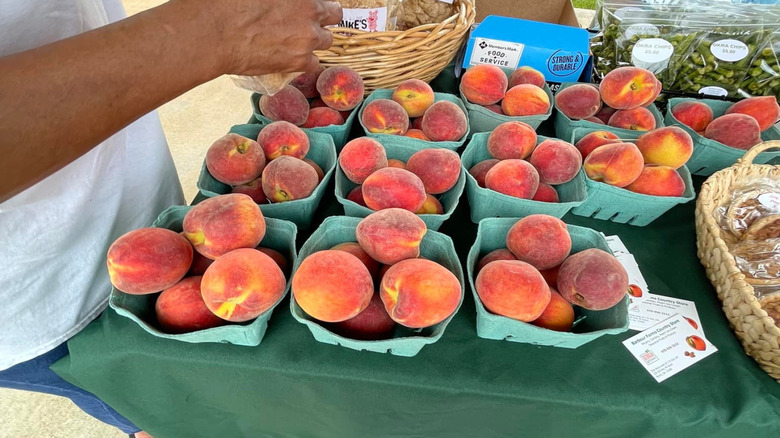 Fresh peaches for sale at the Georgia Peach Festival