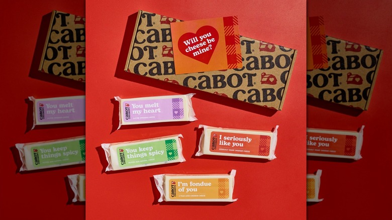 conversation cheese bricks with a gift box