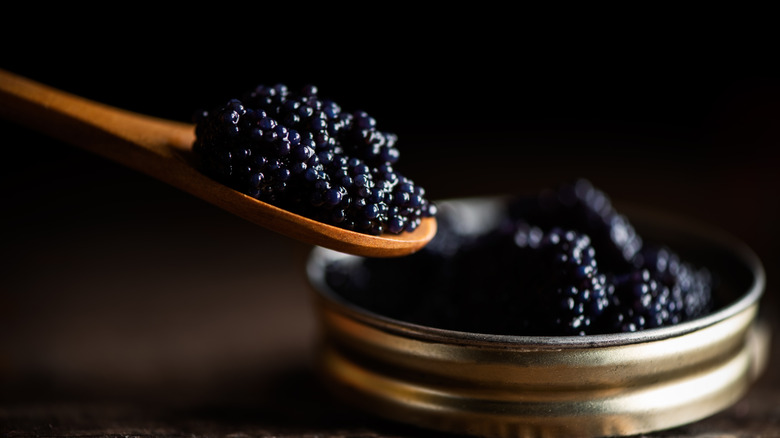 A wooden spoon with a scoop of black caviar in front of open tin of black caviar