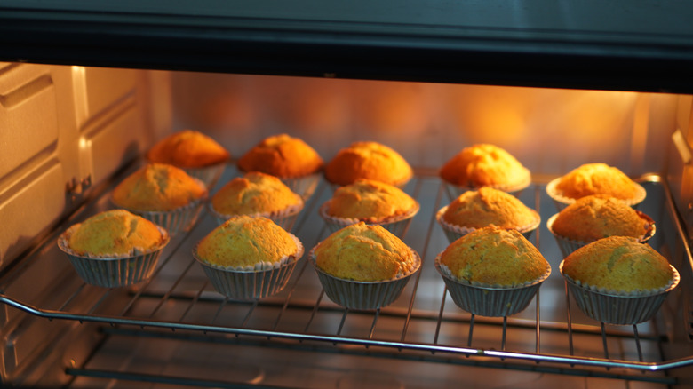 Cupcakes in a toaster oven