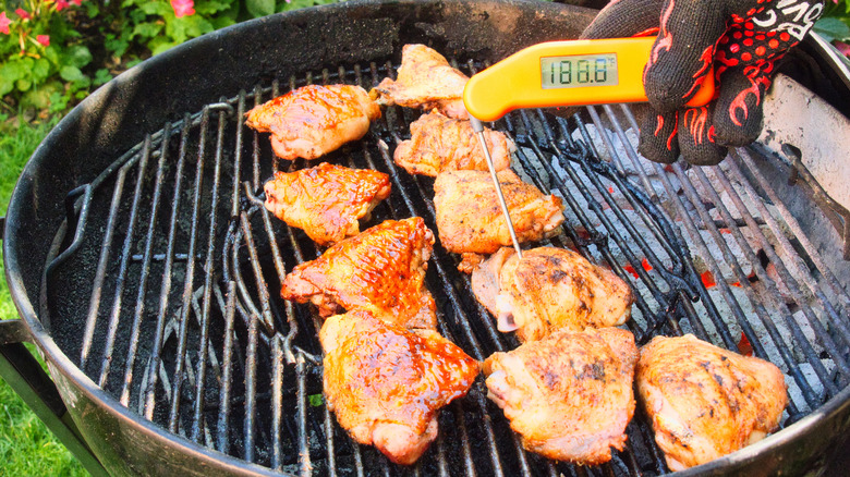 Gloved hand holding thermometer on grilled chicken