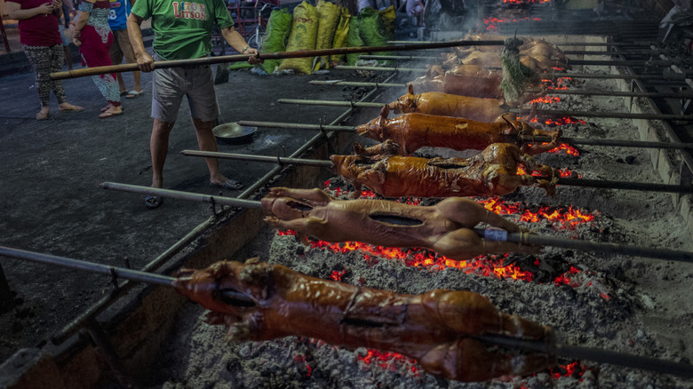 multiple lechon being roasted over coals