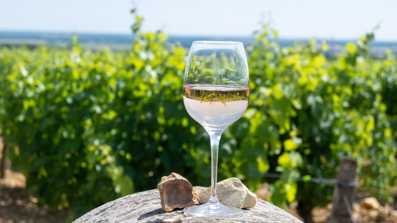 Glass of wine in vineyard