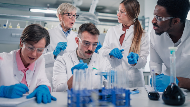 A collection of scientists in a lab