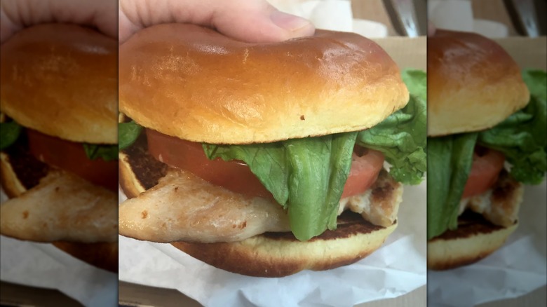 Close up of hand holding grilled chicken sandwich from McDonald's with lettuce and tomato