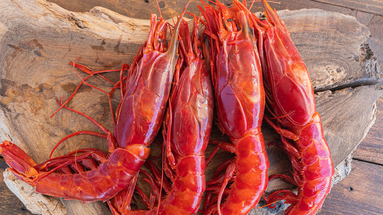 Carabinero shrimp on cutting board