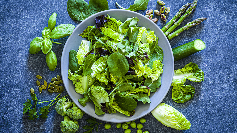 bowl of assorted leafy greens in bowl on blue surface