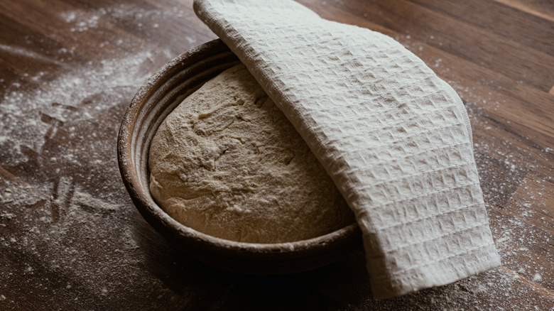 Covered bread rising