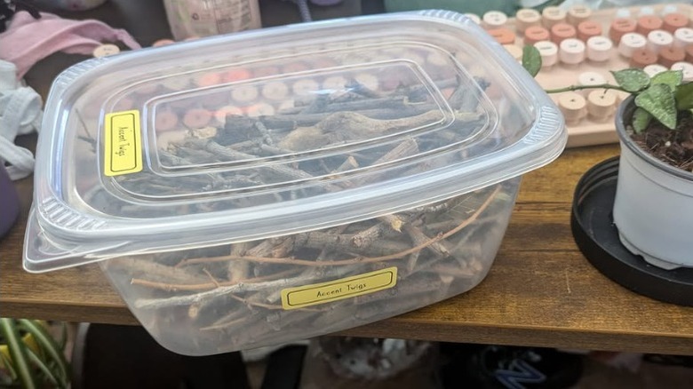 repurposed plastic storage tub containing sticks and twigs sitting on a wooden shelf next to a potted plant