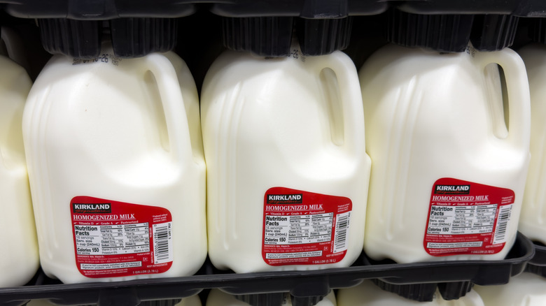 gallon-sized jugs of Kirkland Signature milk