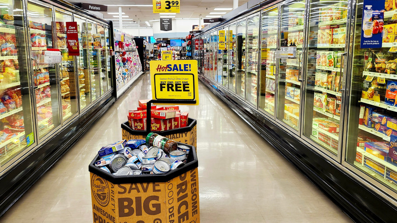 Interior of a Food Lion, frozen section