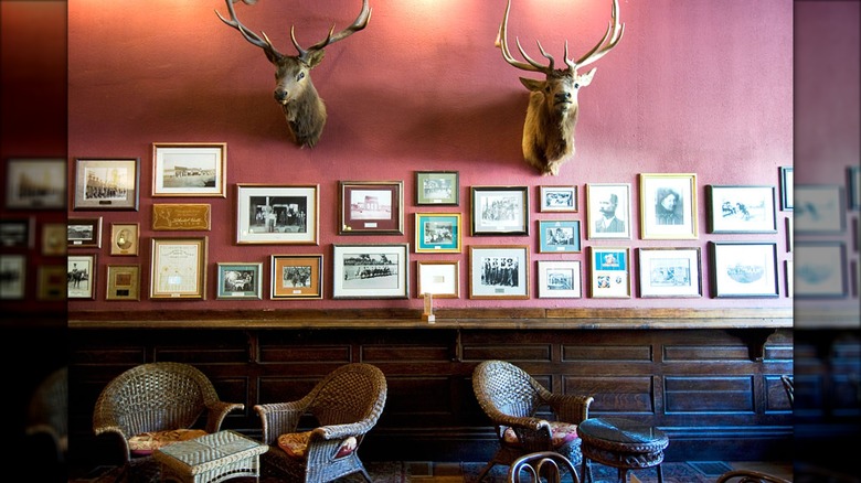 Photos and taxidermy hang above chairs at Palace Restaurant and Saloon.