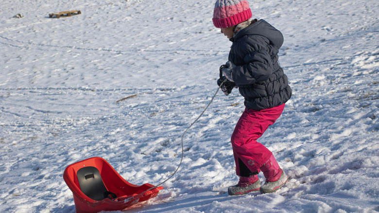 A little girl with a bobsled