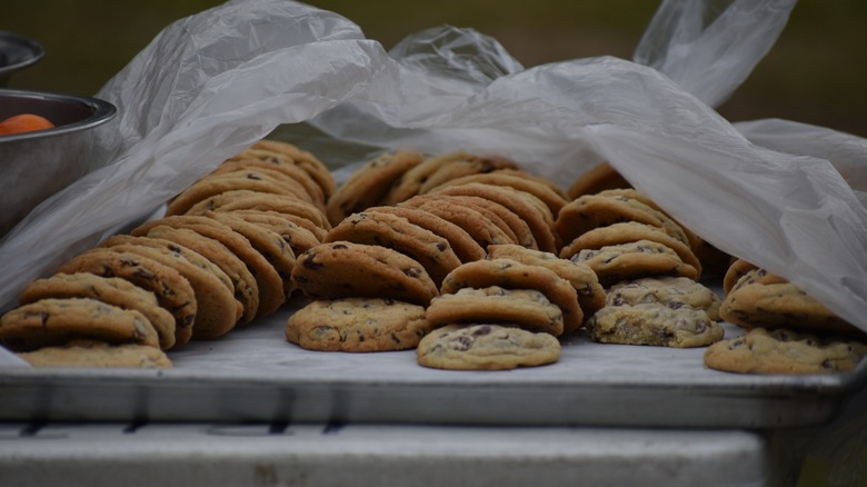 A lot of Chocolate chip cookies laying on a big industrial looking tray