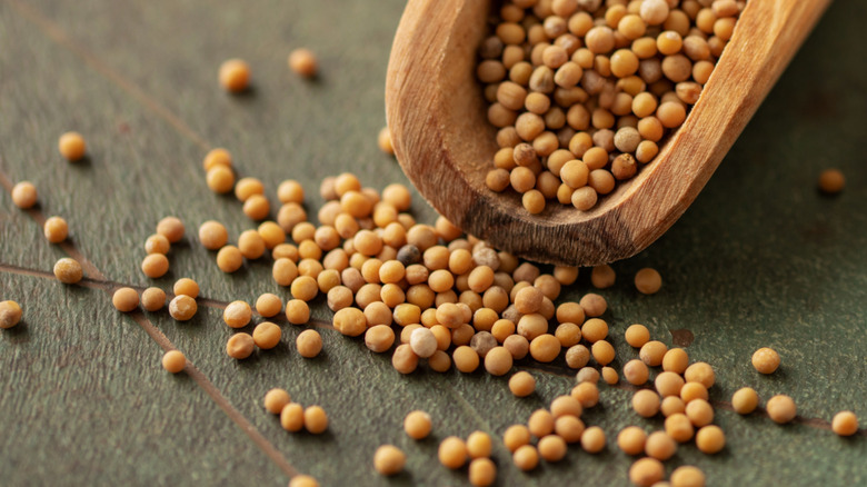 mustard seeds scattered from scoop across surface