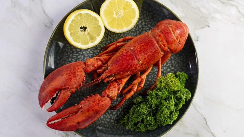 a black plate with a whole lobster, lemons, and greens on a marble counter